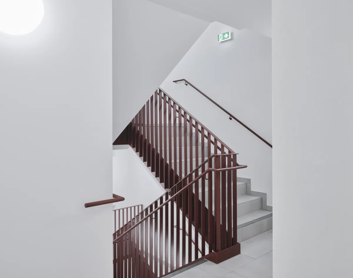 WWW David Schreyer 8