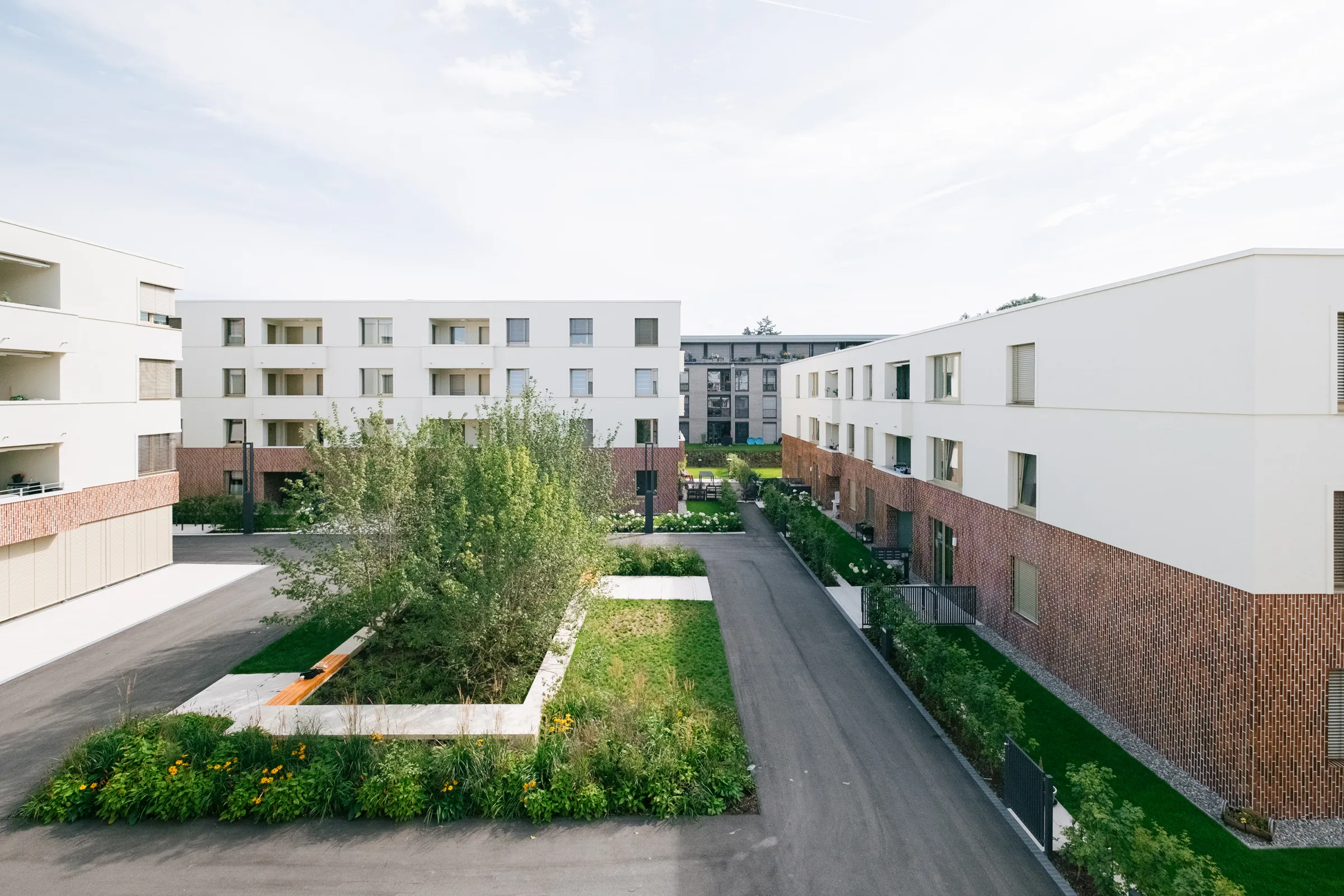 WA17 Patrick Johannsen 6