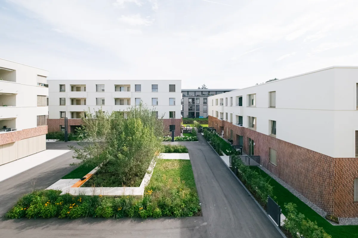 WA17 Patrick Johannsen 6