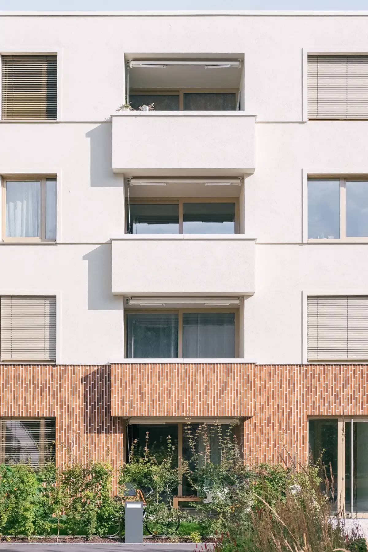 WA17 Patrick Johannsen 5
