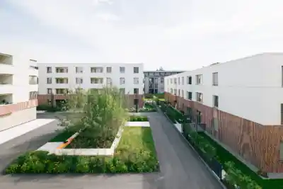 WA17 Patrick Johannsen 6