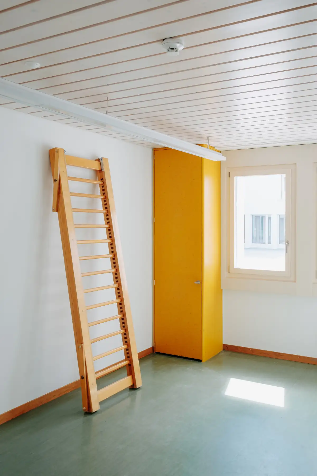 SAG Patrick Johannsen 24