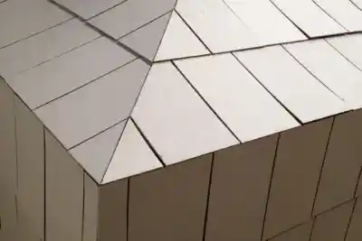 CVS 6